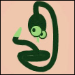 patchkord
